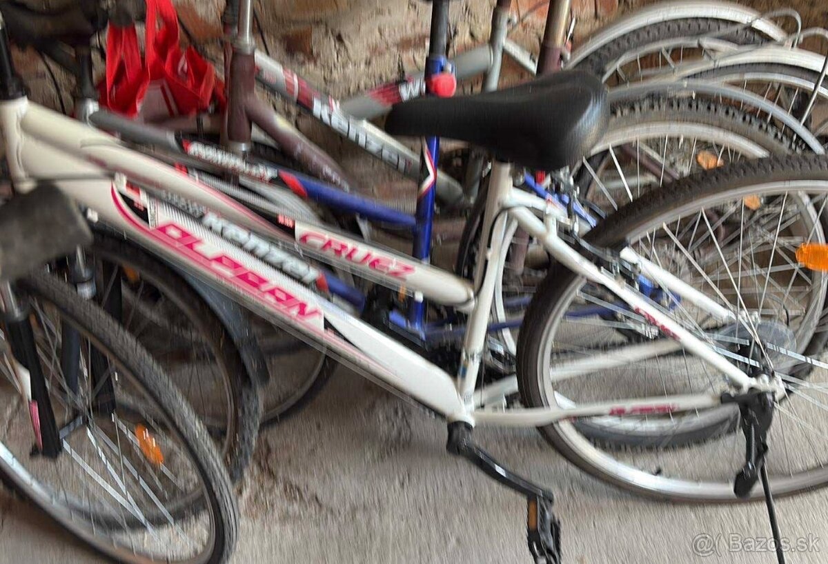 Olpran Cruez horsky bicykel