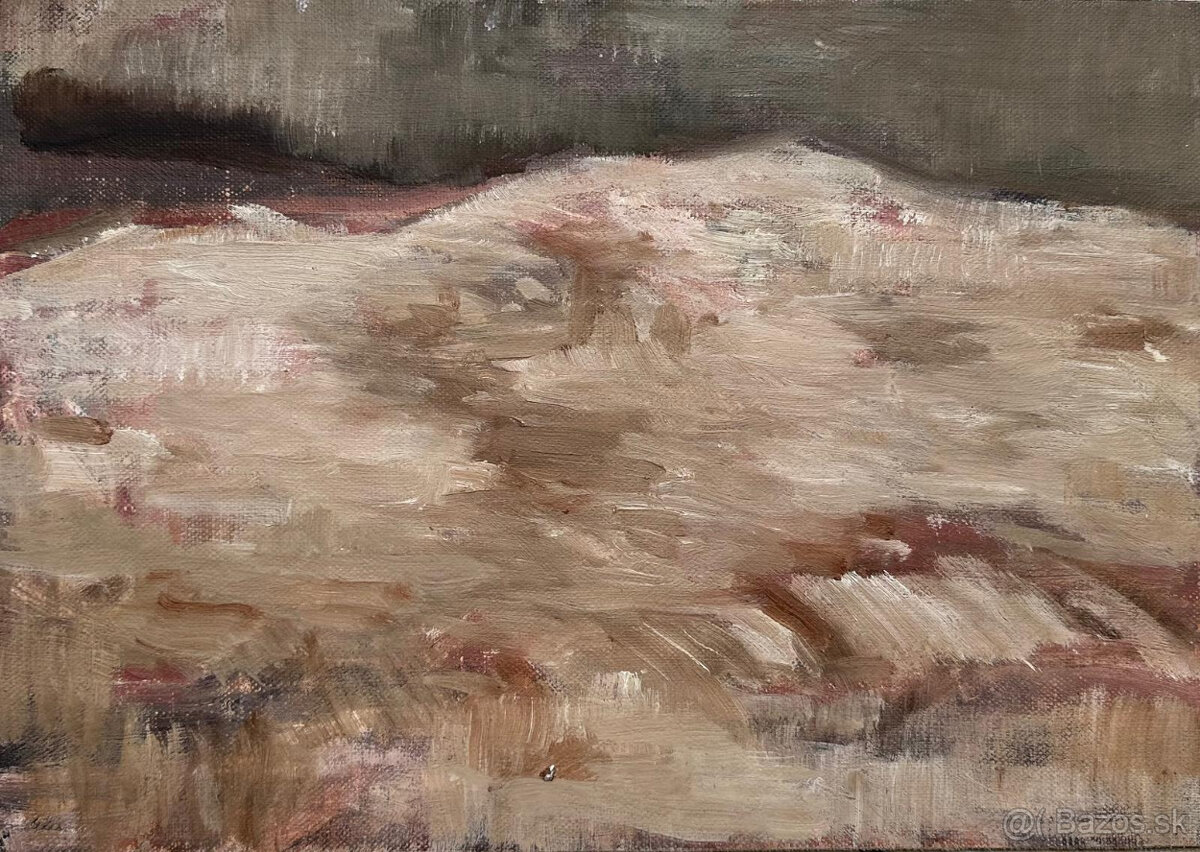 Medvecká Mária, Posledné snehy, olej na sololite, 24x35