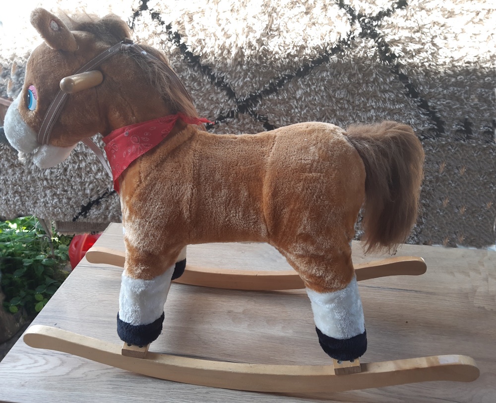 Erdziaci hupaci koník