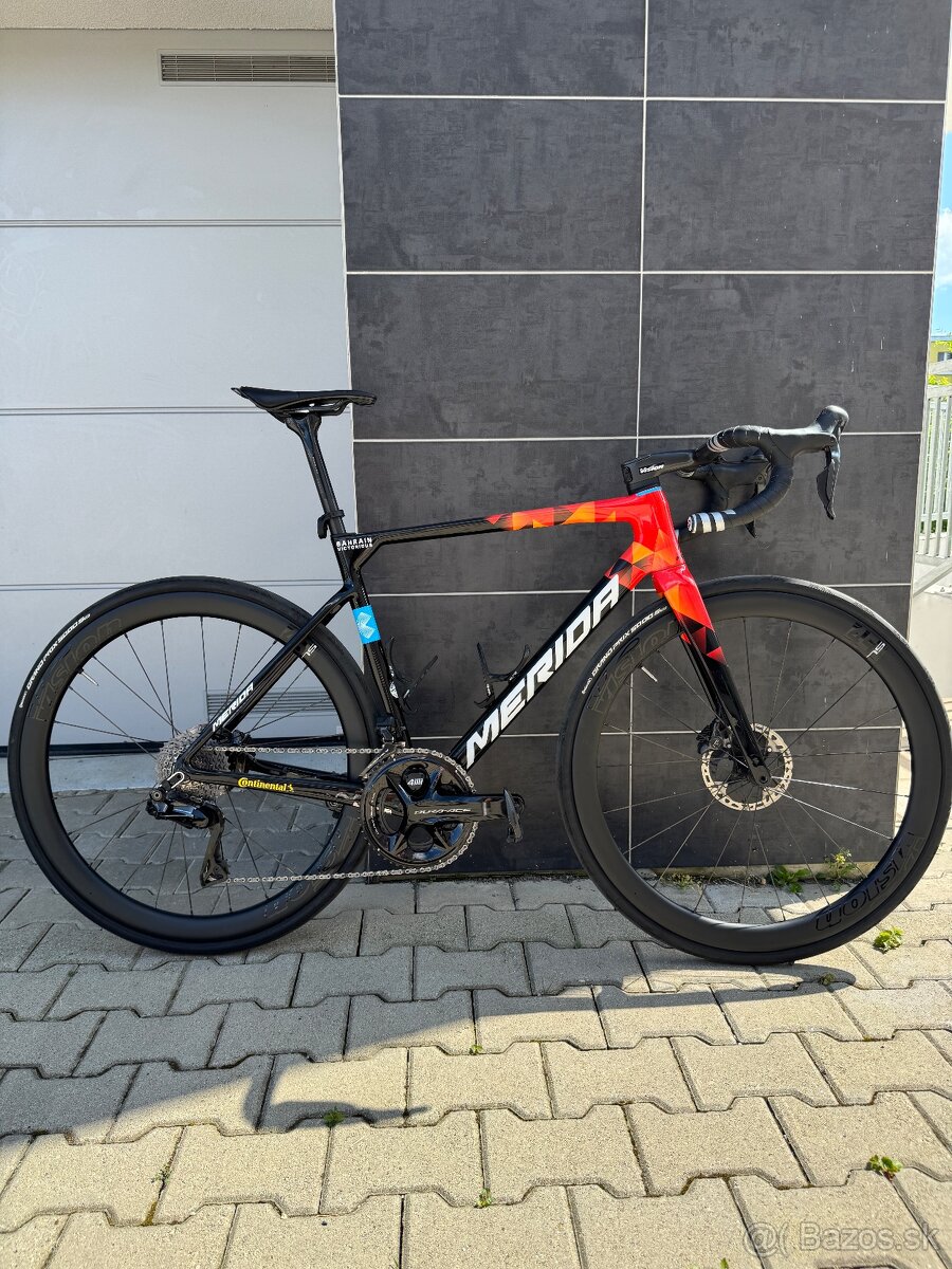 Merida Scultura Team