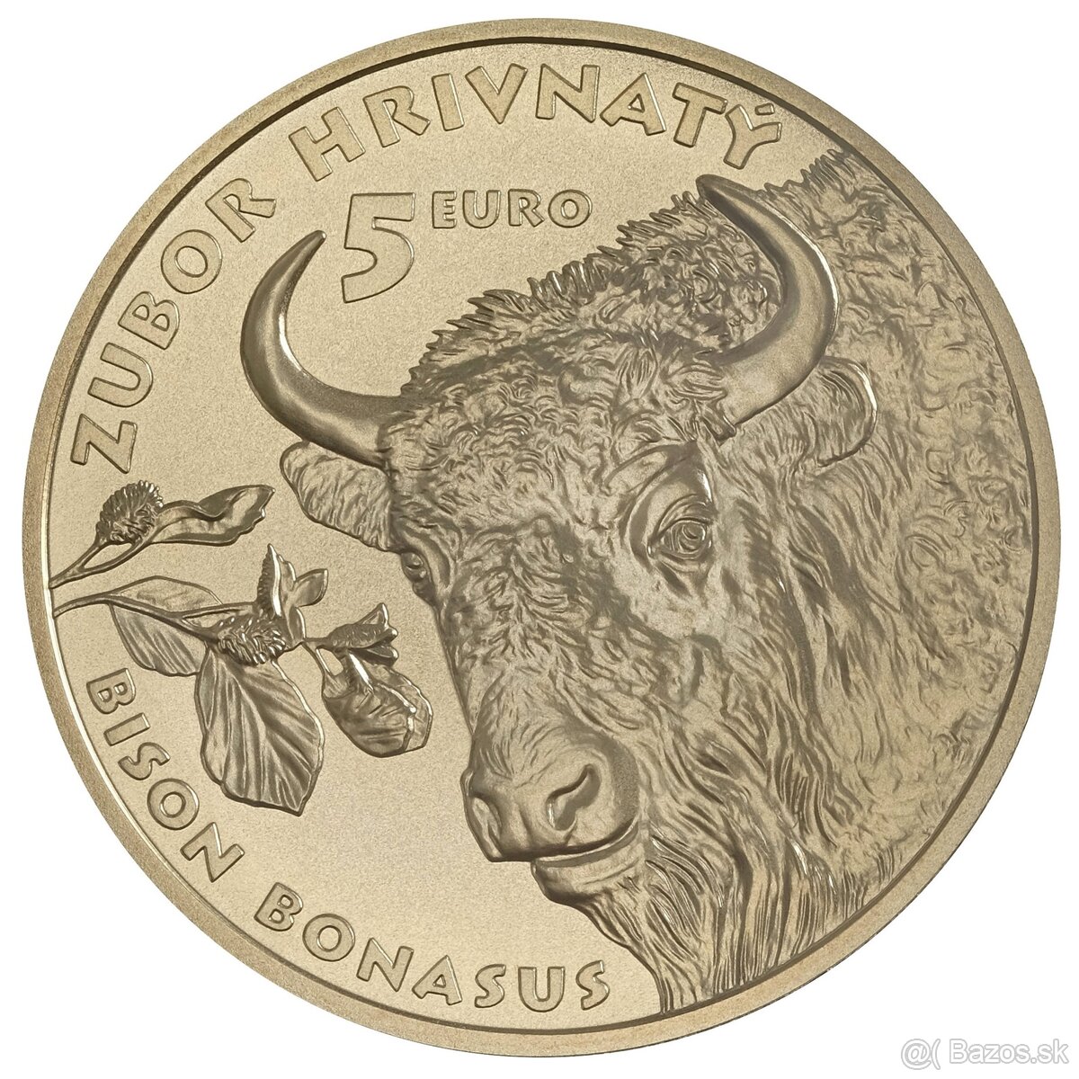 5 Euro Zubor Hrivnaty - mince, numizmaticke obalky
