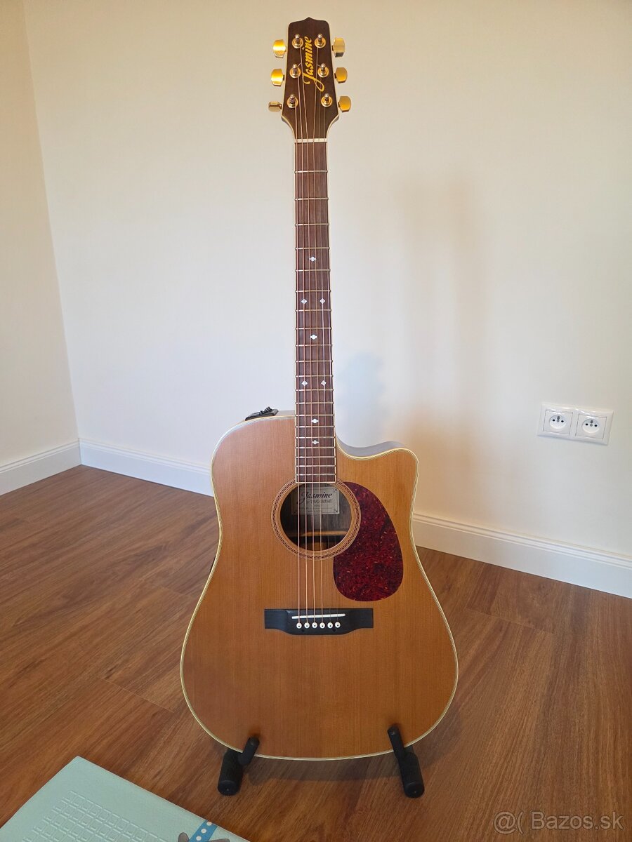 Jasmine by Takamine + puzdro