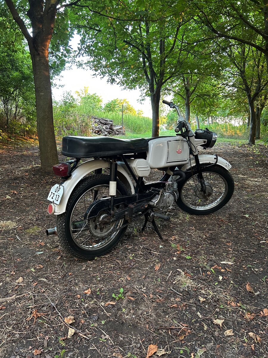 Jawa mustang