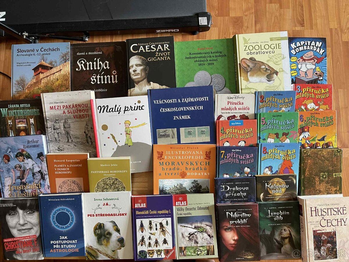 Winterhouse,Kniha stínů,Sukuba,Trosečníci z Vlaštovky atd