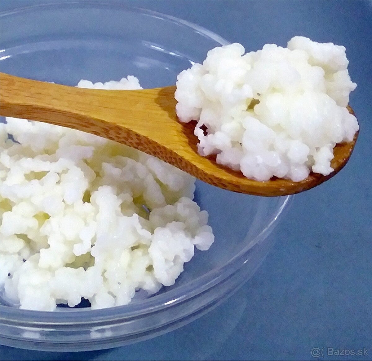 Tibetská huba na kefir