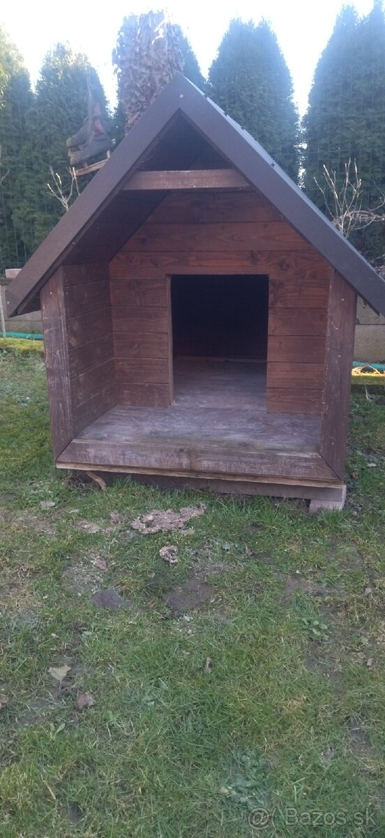 Búda pre psa