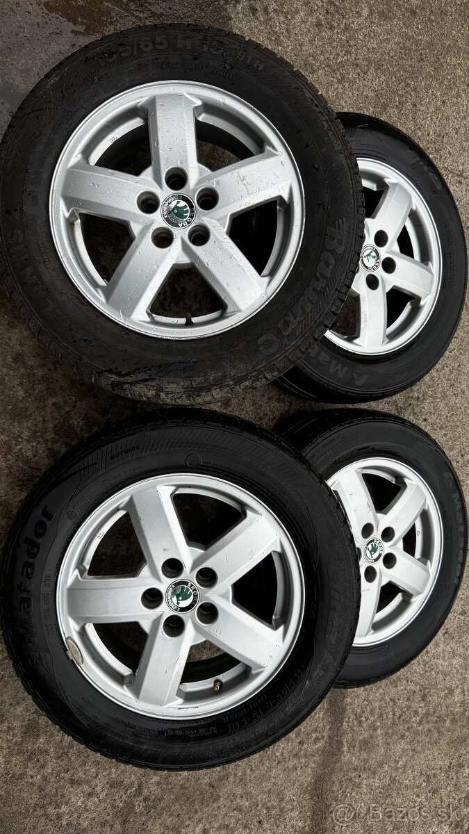 Škoda disky 5x100 r15 195/65