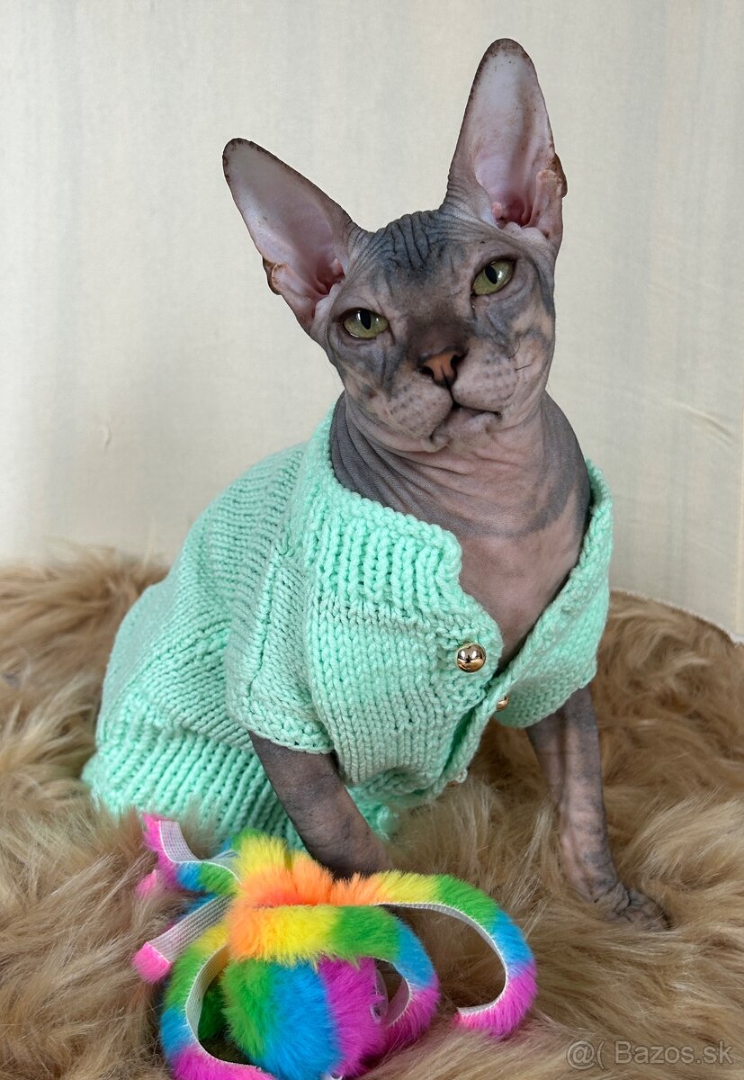 Don Sphynx PP