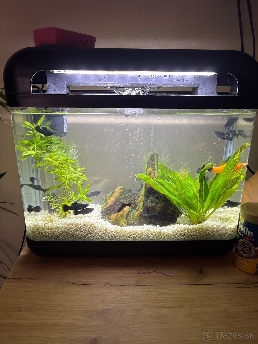 Predam 17l akvárium.