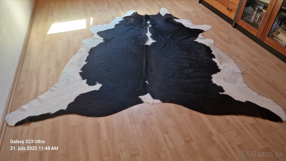 Koberec- pravá loža