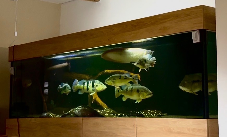 Predám akvárium komplet