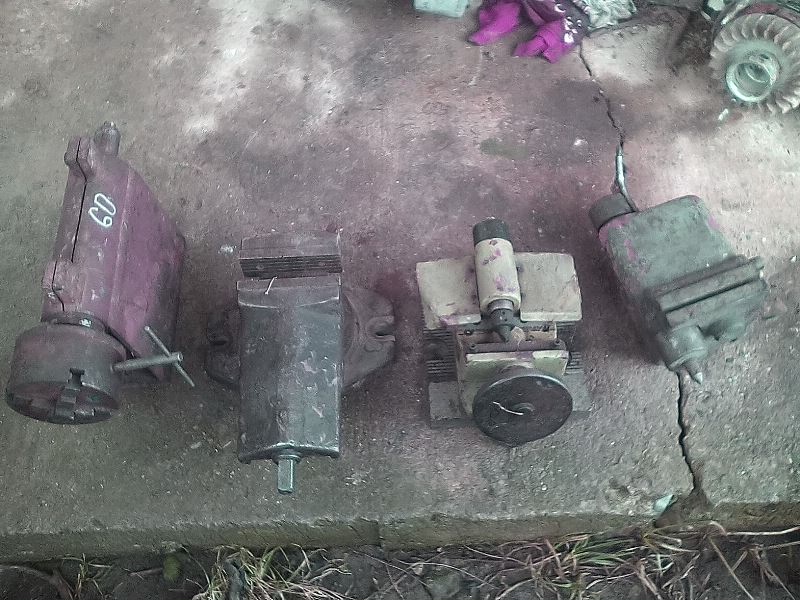 zverák, koník, ...