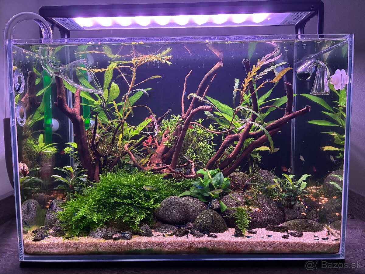 Predám 36L optiwhite akvárium