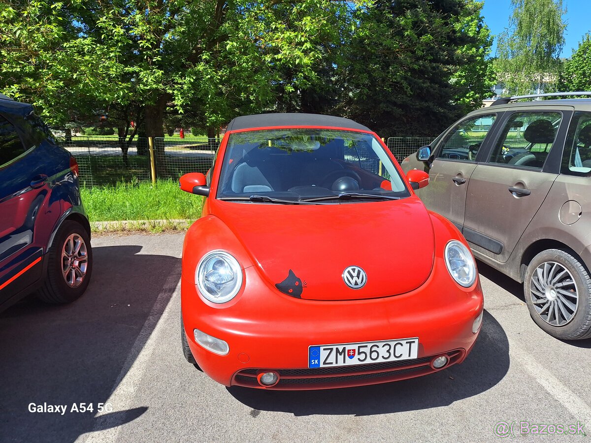 Beetle