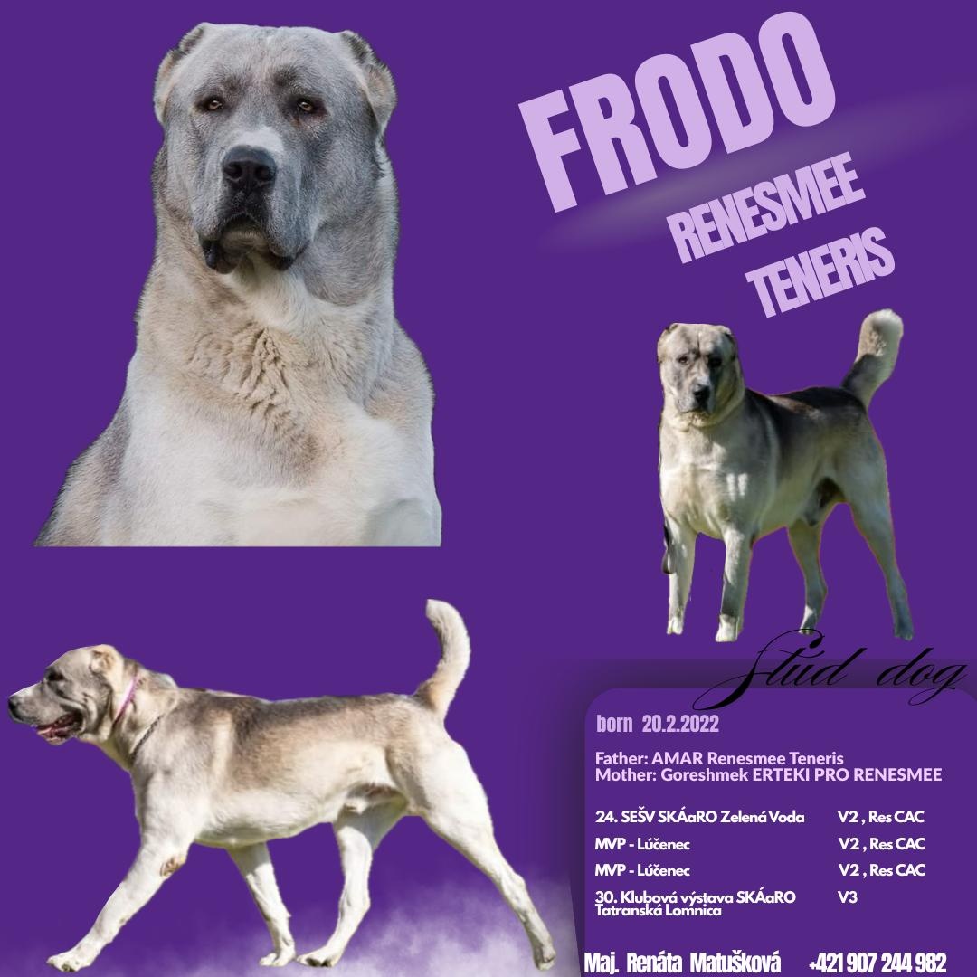 Stredoázijský ovčiak