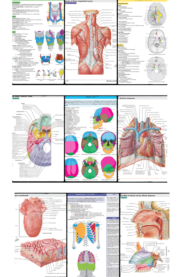 Anatómia e-kniha + Anatomický atlas