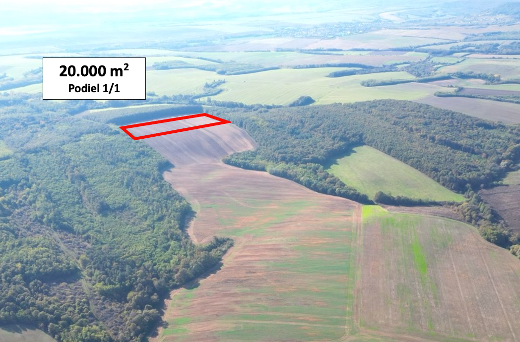 Trebušovce – 20.000 m2 ORNÁ PÔDA podiel 1/1