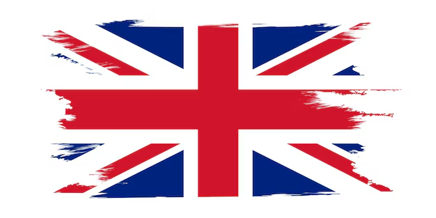 Native English Conversations and Tutoring - Online