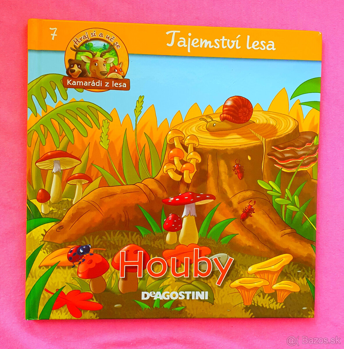 Tajomstvá lesa.Hríby.