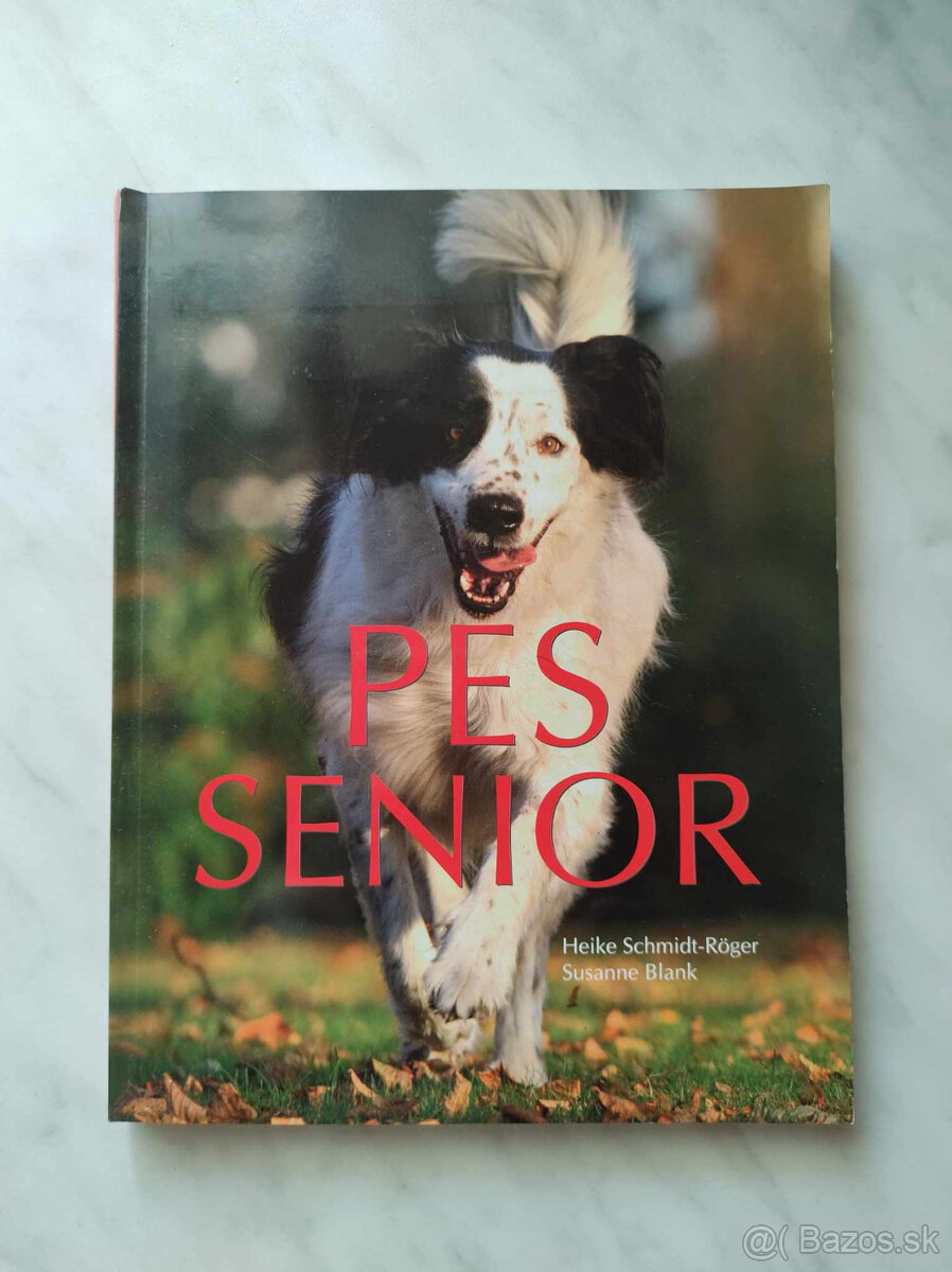 Kolektív autorov - Pes senior