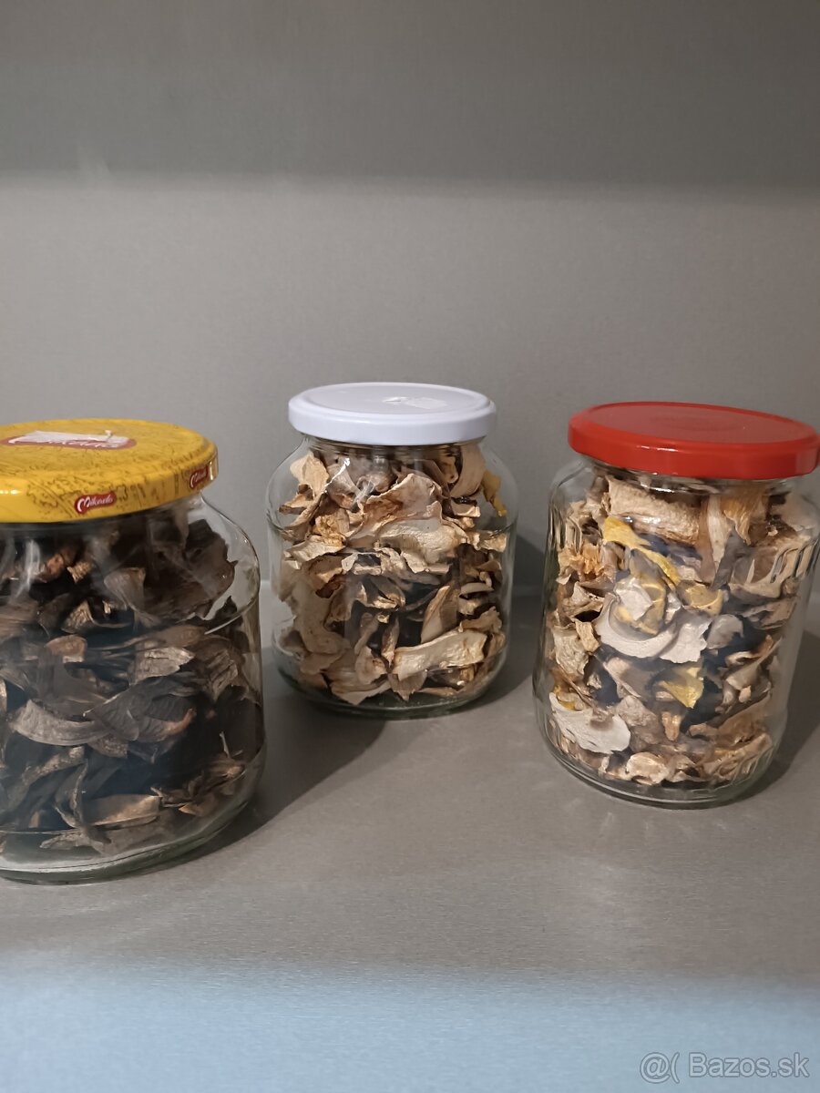 Sušené hríby-dubáky