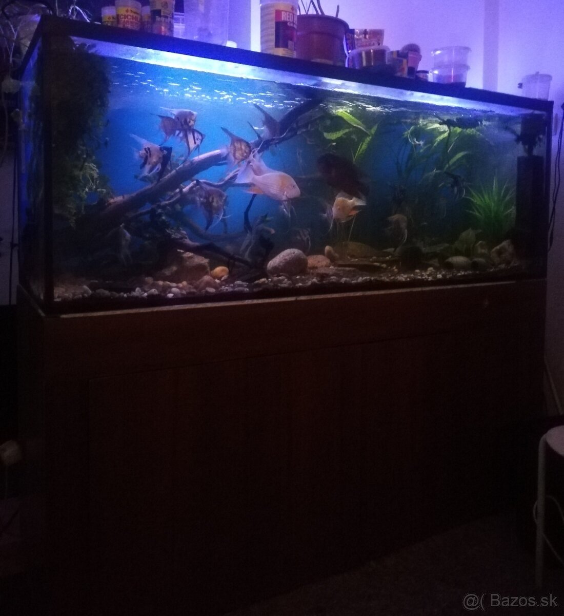 Znížená cena Akvárium 580l