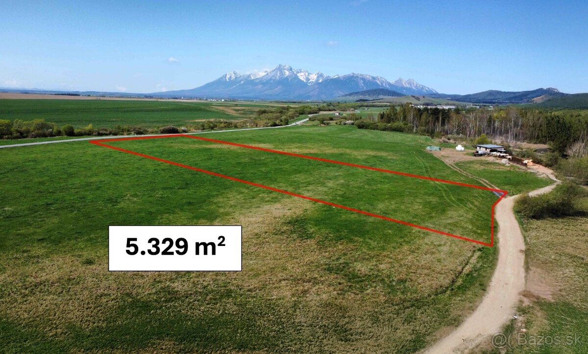 Podhorany – 5.329 m2 ORNÁ PÔDA v podiele 1/1 – Predaj