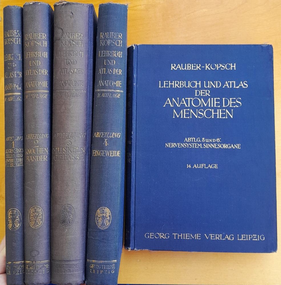 Lehrbuch und Atlas der Anatomie des Menschen