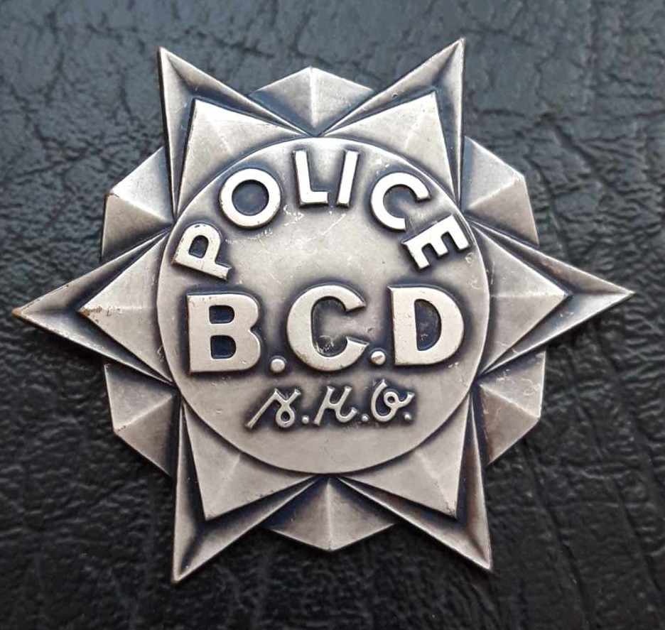 Odznaky stražna služba,mestska polícia,SBS...ceny na foto...