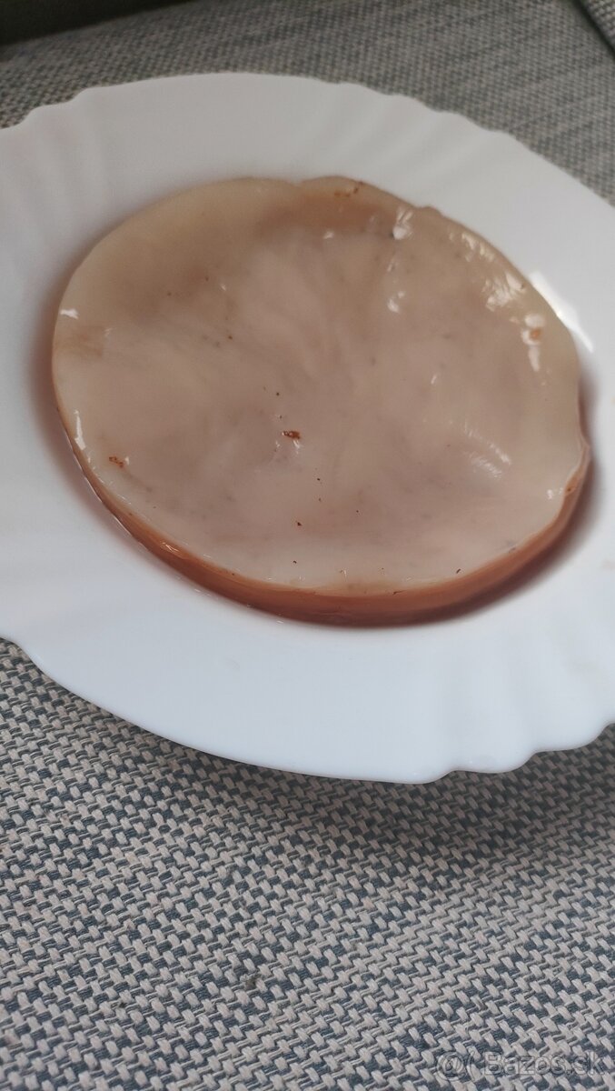 Kombucha, Scooby, čajová huba