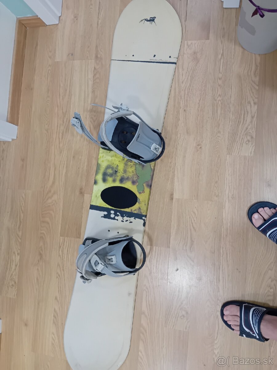 Snowboard