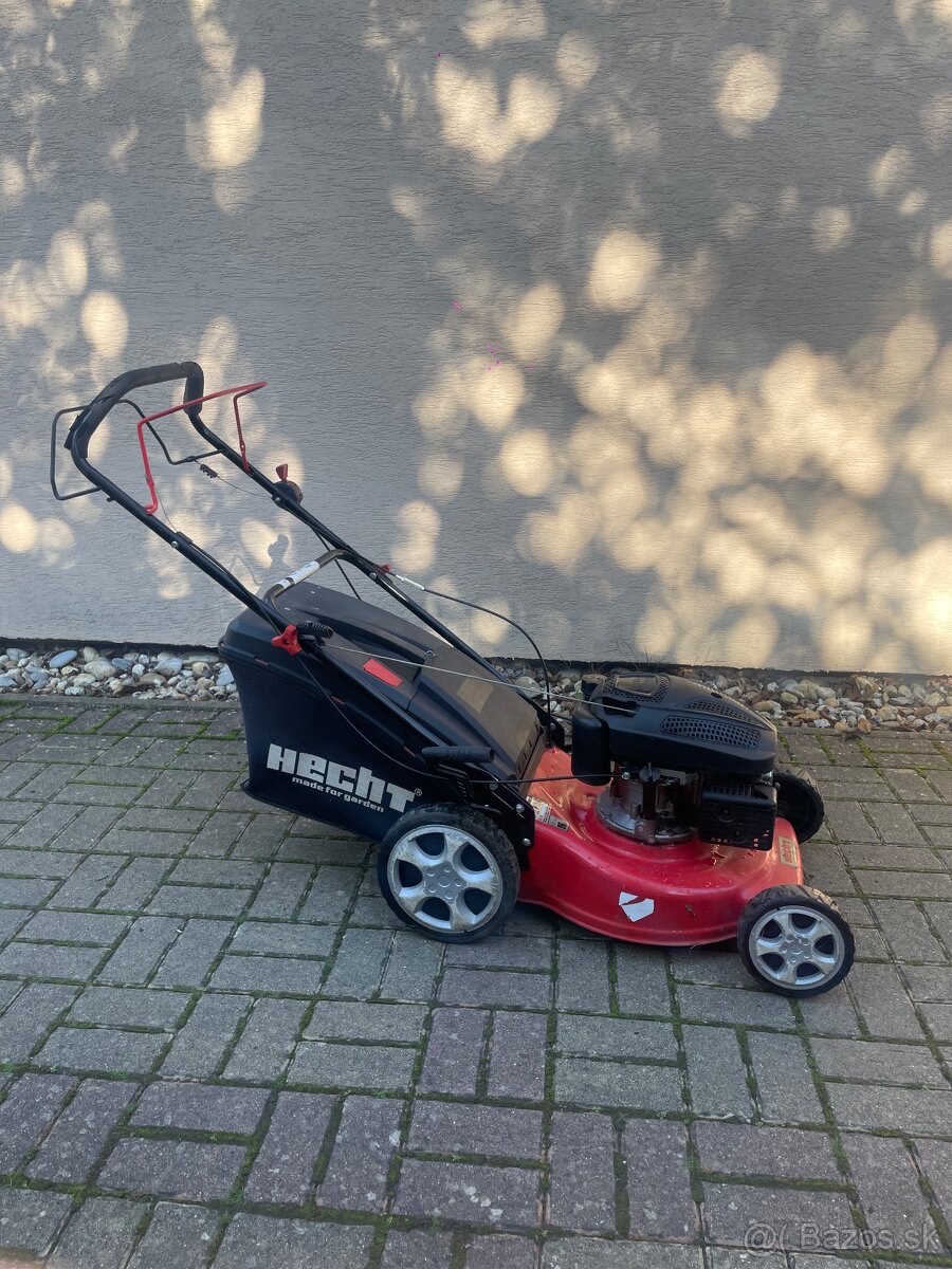Kosačka Hecht