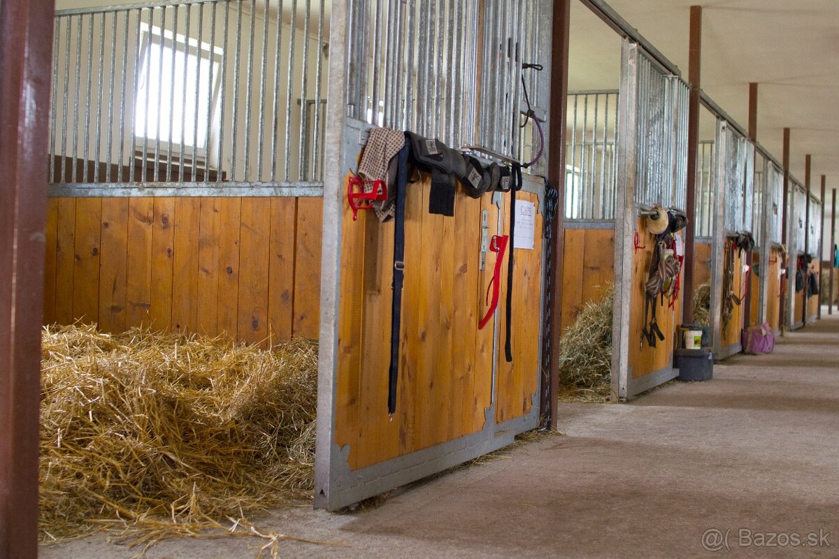 Starostlivosť o kone - víkendová brigáda