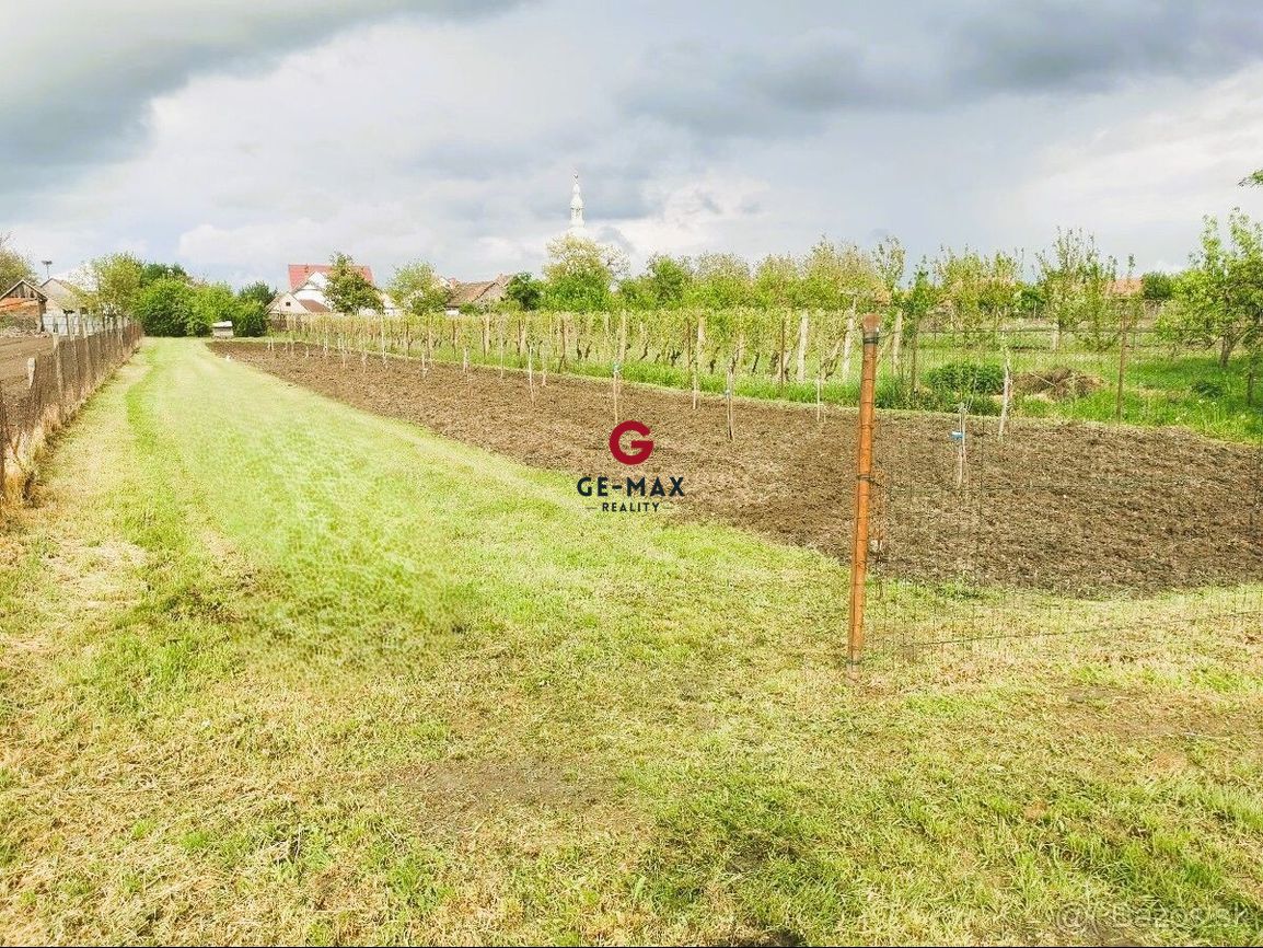 Na predaj pozemok- Malý Horeš, okres Trebišov