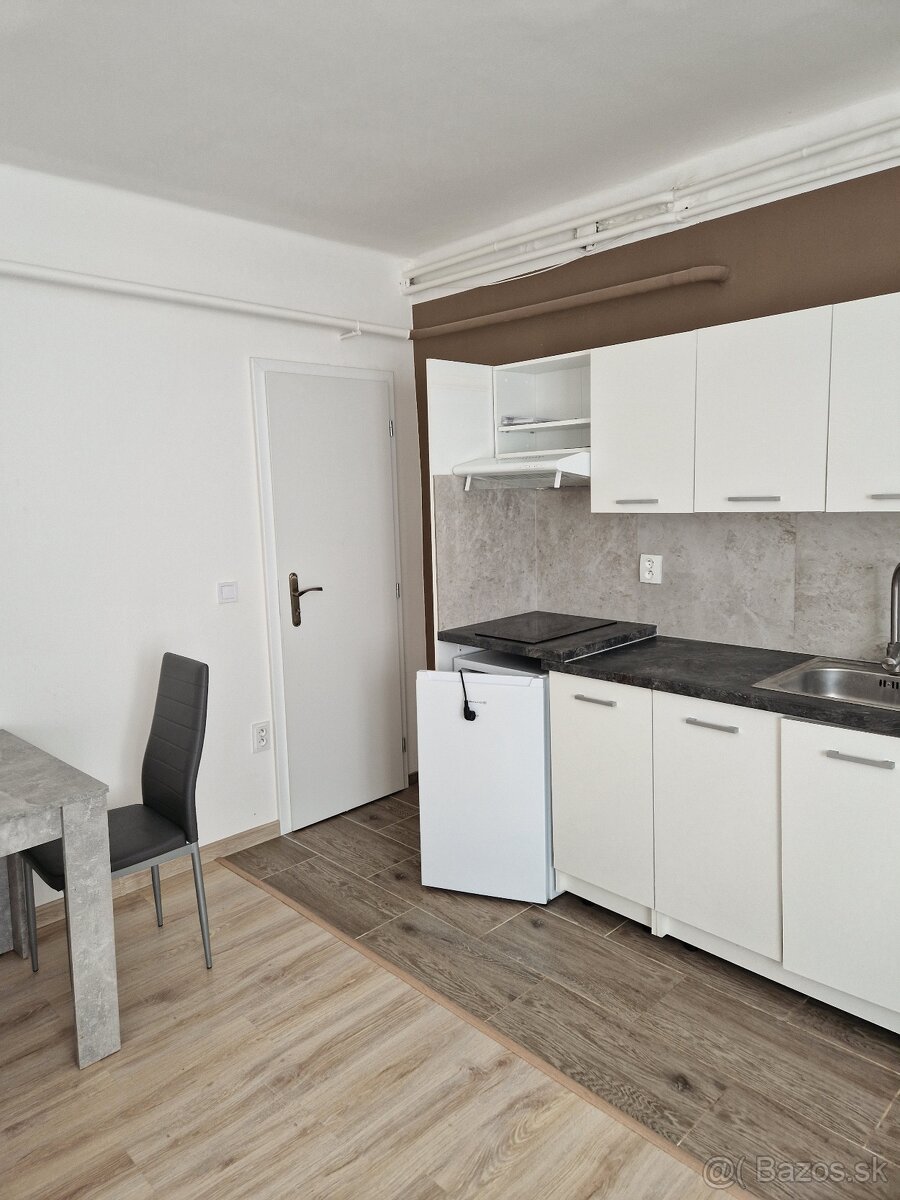 1,5  izb. byt v rodinnom dome blízko Prešova so záhradou