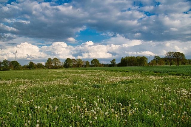 K.U.P.I.M. POZEMOK V MESTE, STARY DOM