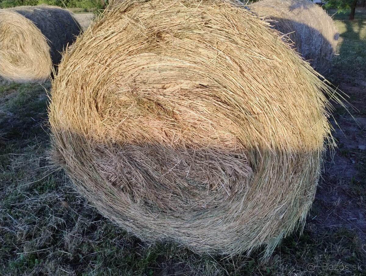Seno - balíky