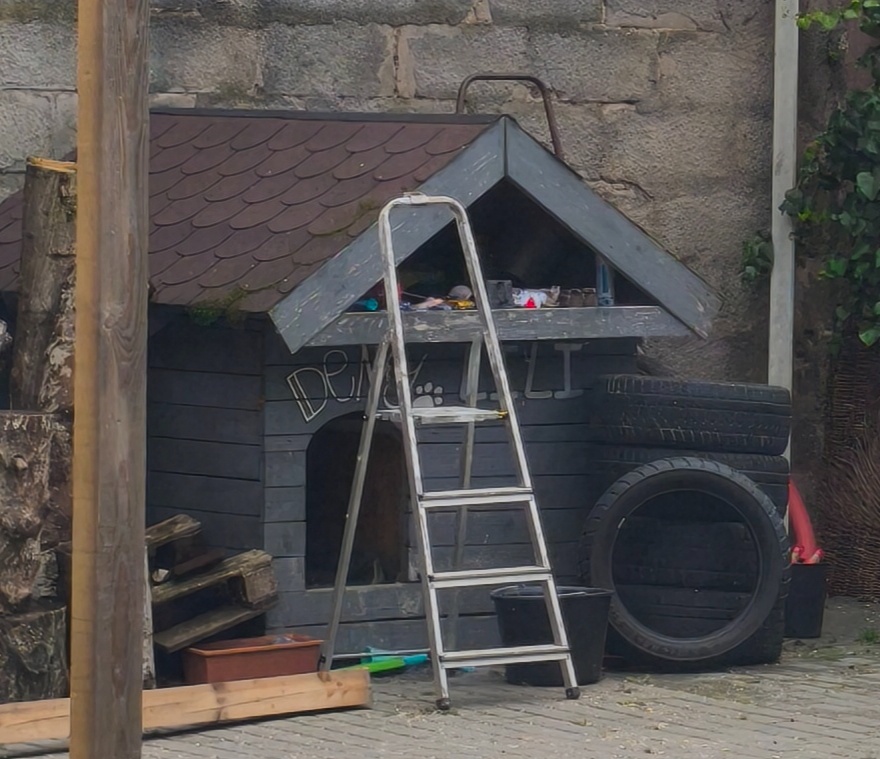 Predám veľkú budú pre psa