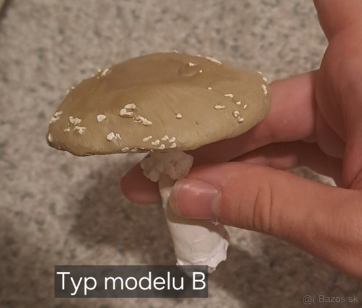 Modely hríbov, muchotrávka/muchotrávky