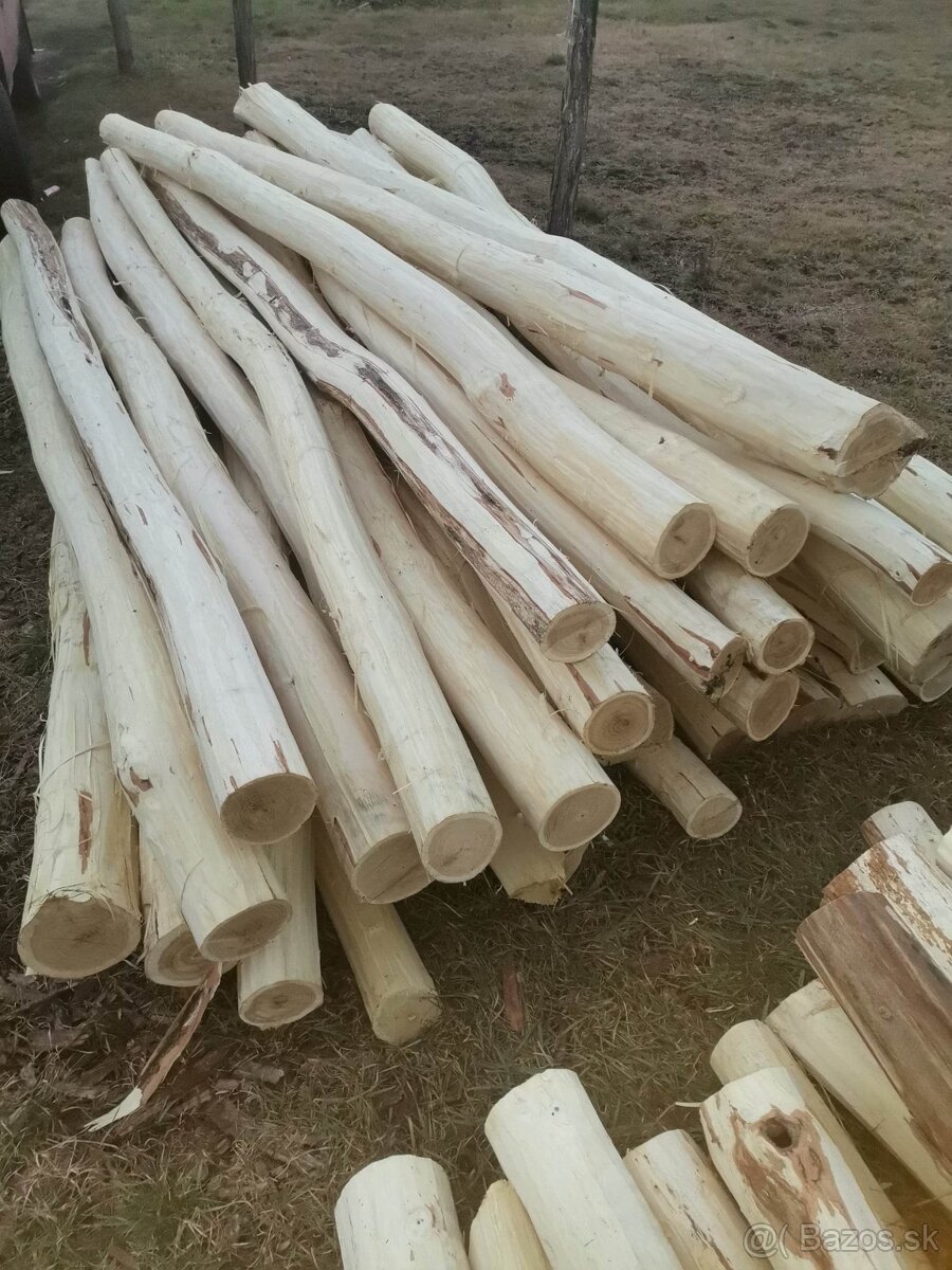 Agatove koly stĺpy