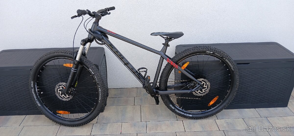 Kellys gibon 10