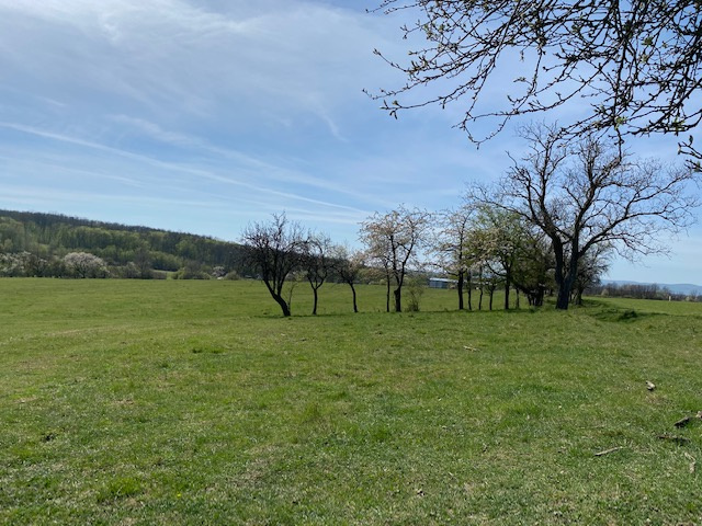 Pozemok v Čabradskom Vrbovku, 92000 m2
