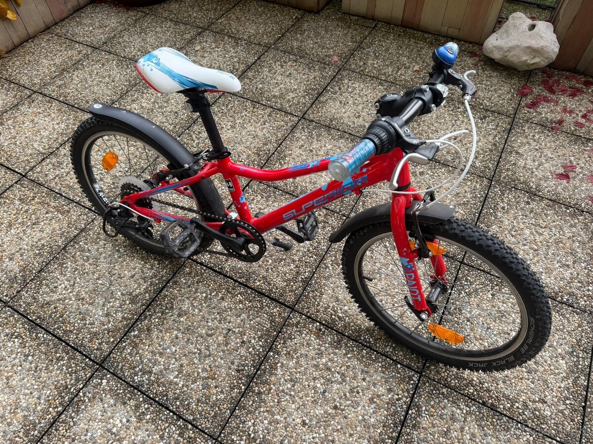 Detský bike Superior Paint XC 20"