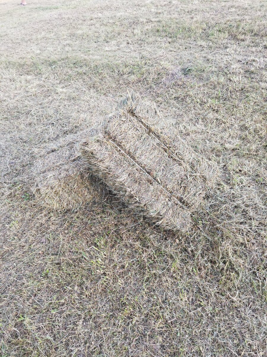 Predám malé balíky sena