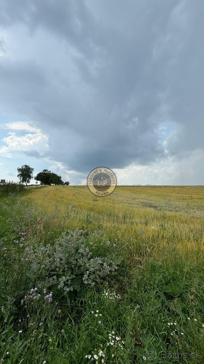 Land, 8456 m²