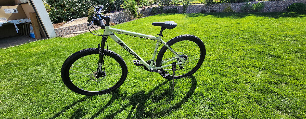 Horský bike
