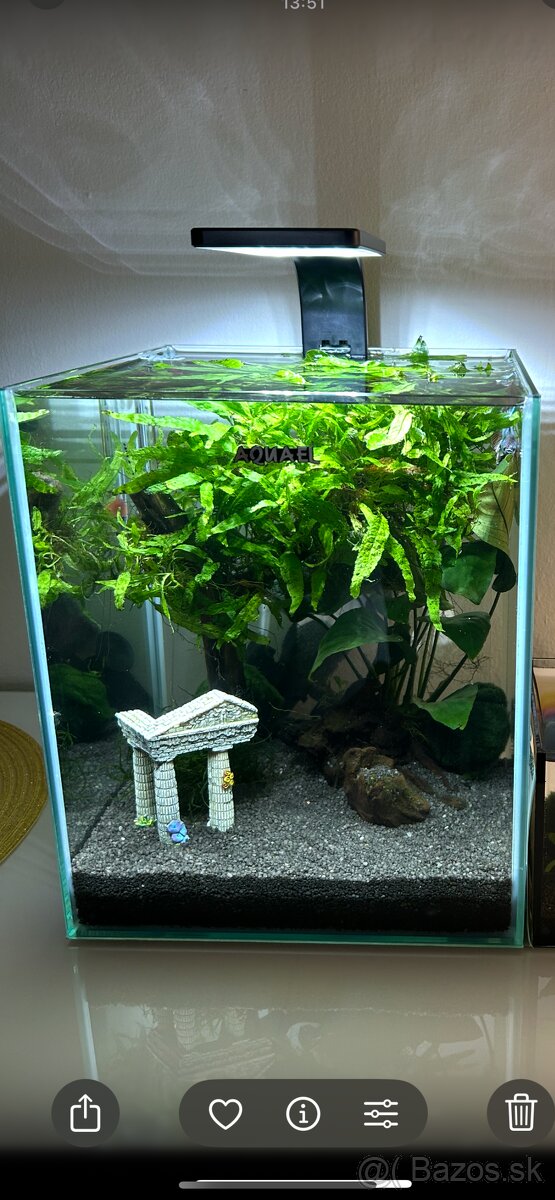 Akvarium