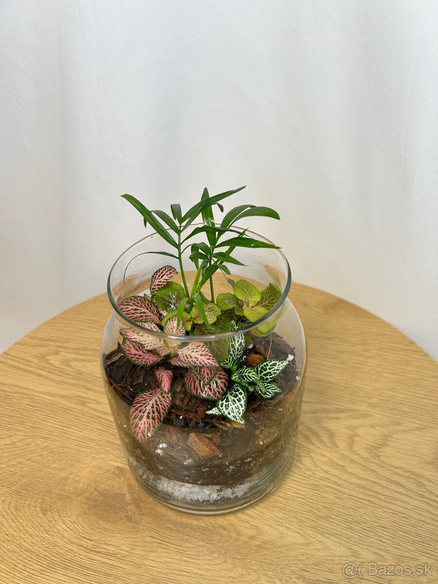 Rastlinné teráriá