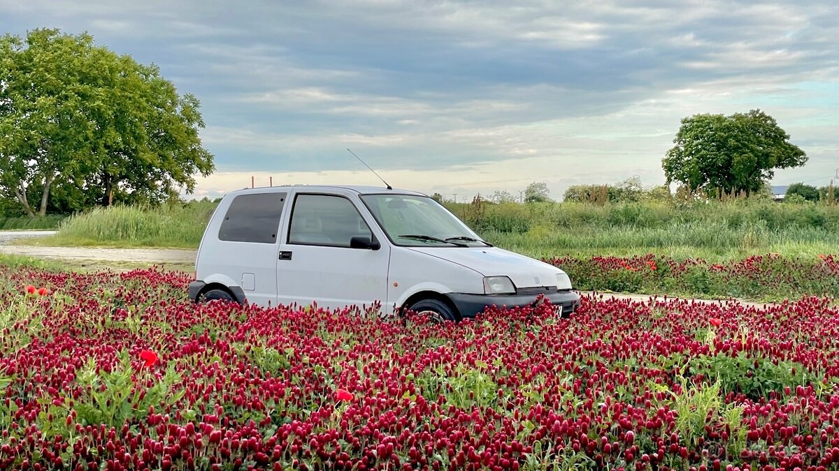 Fiat Cinquecento Suite