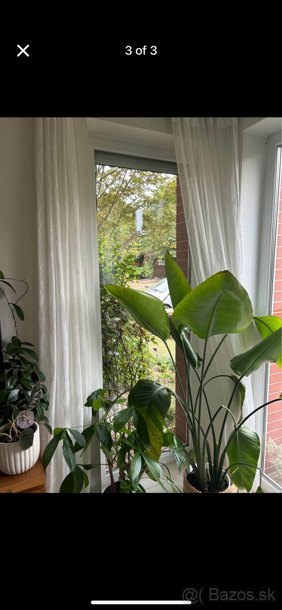 Predam velke plastove trojsklo okná
